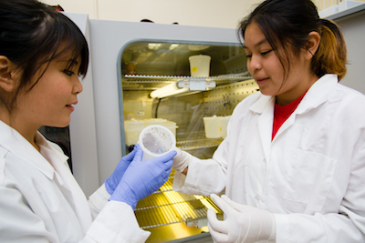 two female students working in a lab