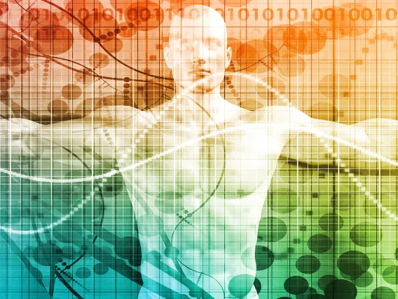 illustration of a human body
