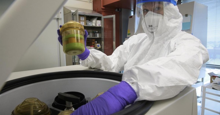 Person wearing white protect clothing, mask and purple gloves works in a lab