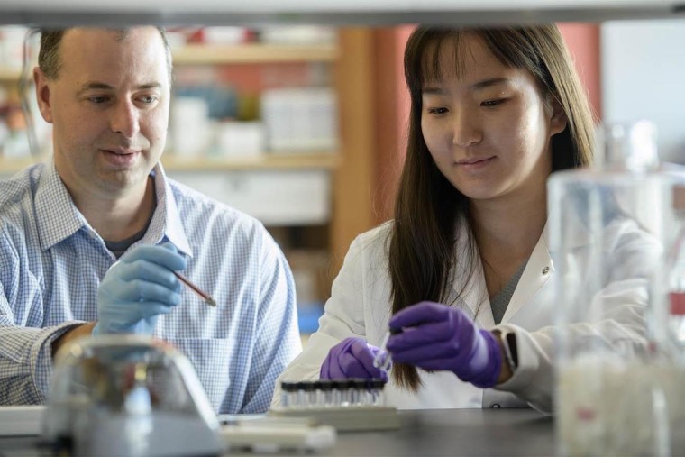 John G. Purdy, PhD (left), associate professor of immunobiology, with Yuecheng Xi, PhD, then a postdoctoral researcher with the Purdy Lab, which investigates the inner workings of a common virus.